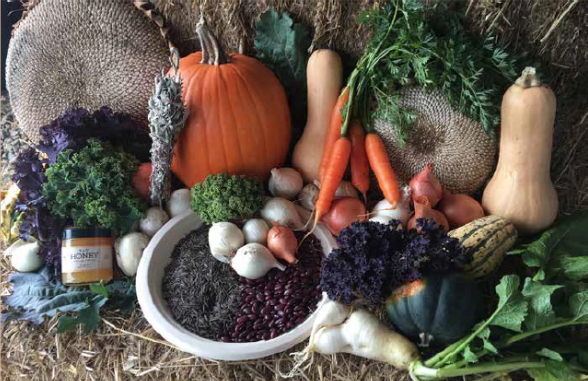 A vibrant assortment of fresh vegetables and produce, including a pumpkin, carrots, beets, kale, and various types of squash, arranged artistically around a bowl of black beans and a jar of honey, set against a rustic straw background.